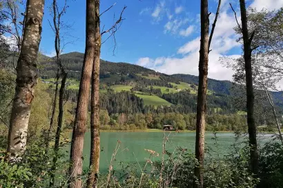naturerlebnis_see_bachmann_apartments